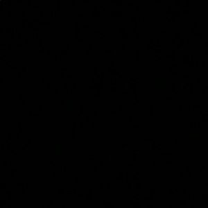 Meet your Posher, Cat